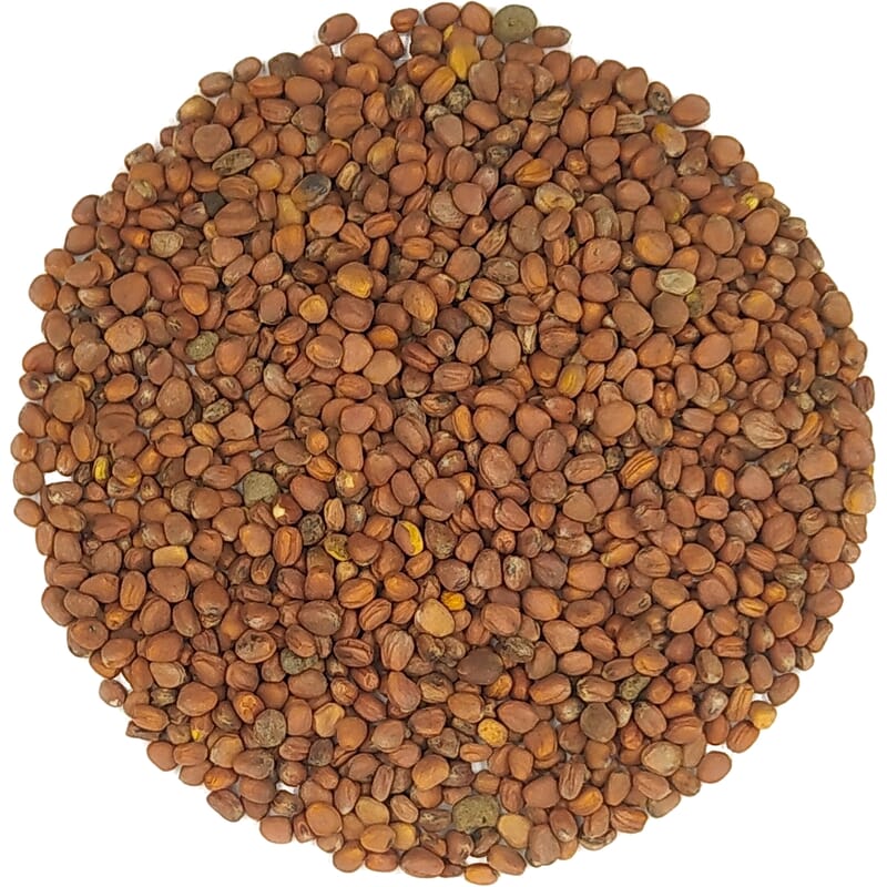 Productafbeelding 1