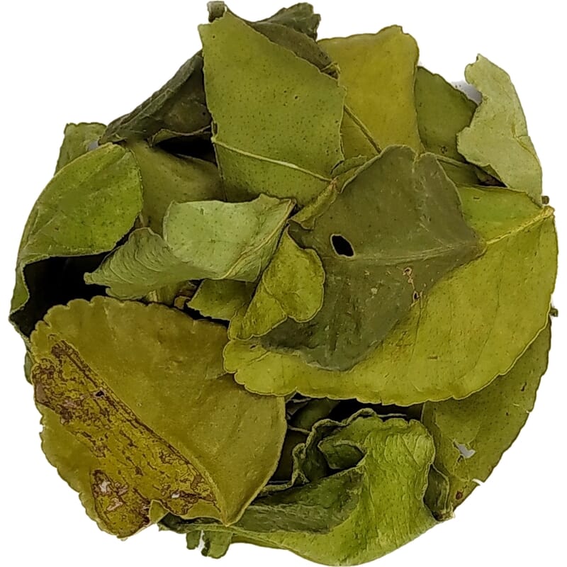 Productafbeelding 1